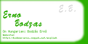 erno bodzas business card