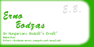 erno bodzas business card